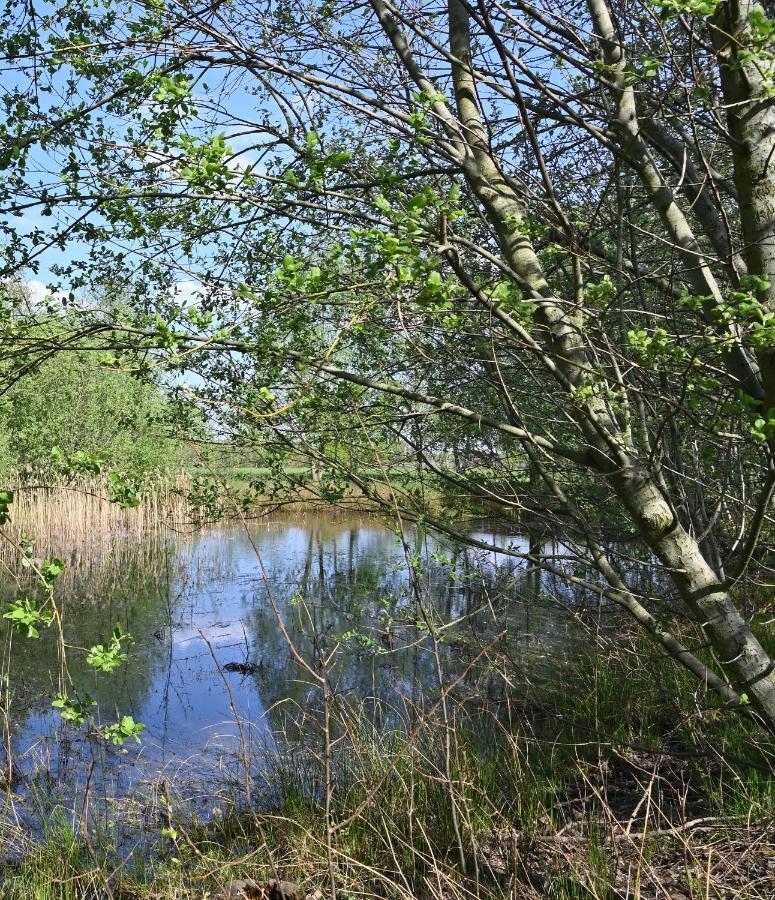 B&B Leendershoeve In Heusden Asten Esterno foto